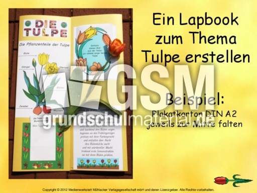 1-Anleitung-Lapbook-Tulpe.pdf